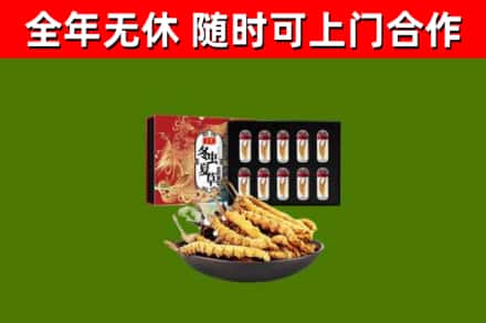离石回收冬虫夏草价格